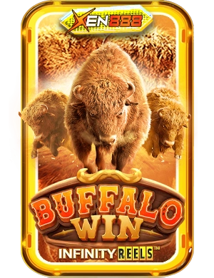 Buffalo Win